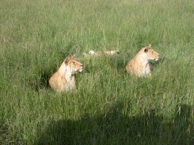 DSCN0301